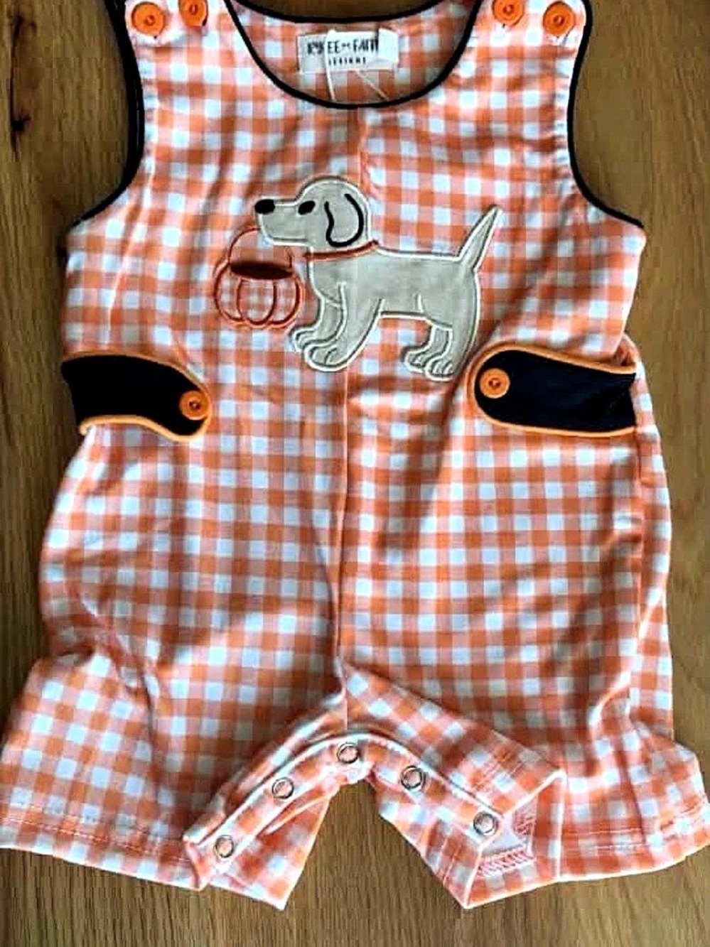 Orange Gingham Halloween Dog Romper Jon Jon Baby 9M NWT
